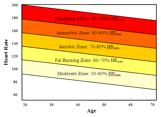 Overweight Heart Rate Chart