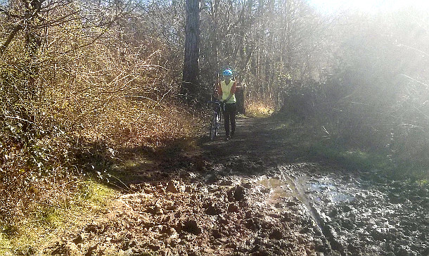 Bridle Mud in Surrey