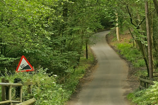 cob lane