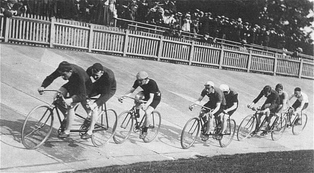 A Call From The Wild A Call From The Wild