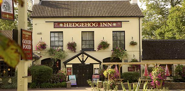 pub_hedgehog
