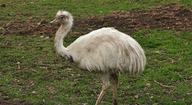 Tuesday Ride: 6th March 2012