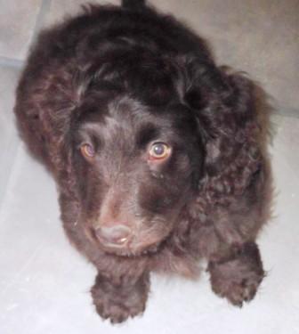 Tuesday Ride 15th Jan 2013 Tuesday Ride 15th Jan 2013