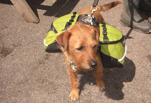 Sunday Ride: 12th May 2013 Sunday Ride: 12th May 2013