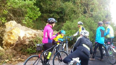 Weekday Rides 29th and 31st October