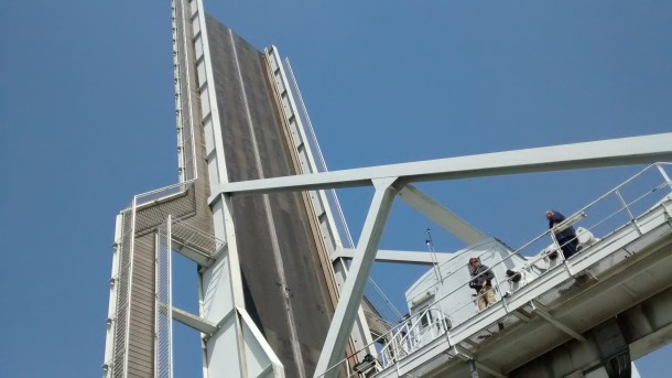 Our tail should have been on there