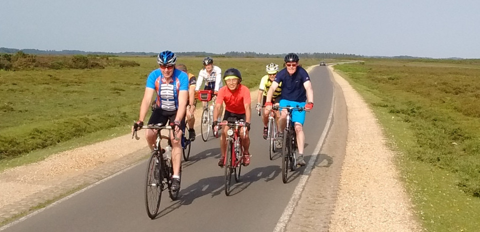 New Forest Tour: 6th to 10th June 2016