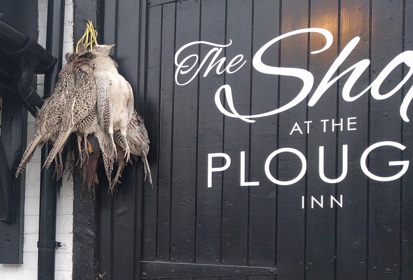 Sunday Ride: 27th November 2016