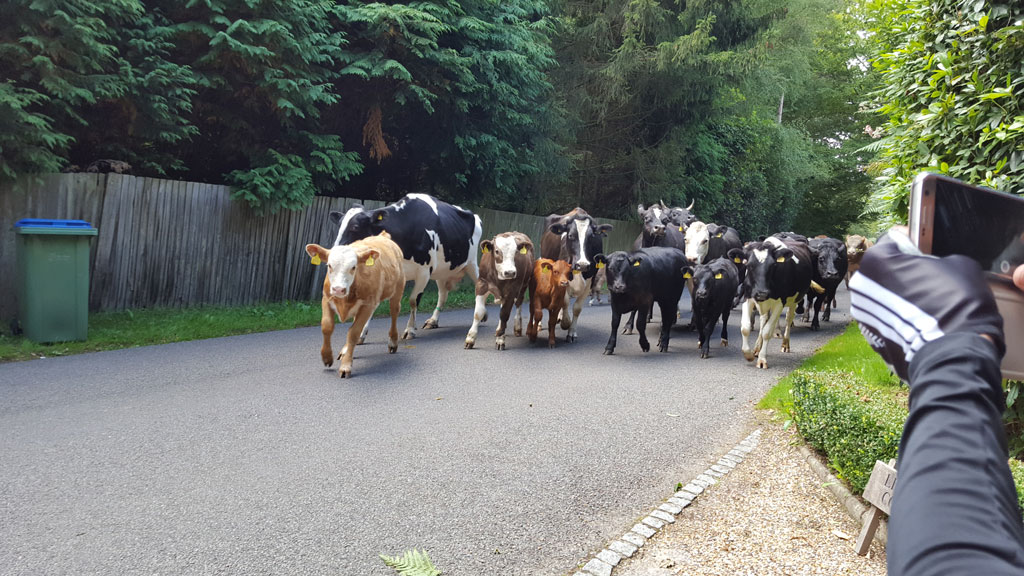 Sunday Ride: 20th August 2017 Sunday Ride: 20th August 2017