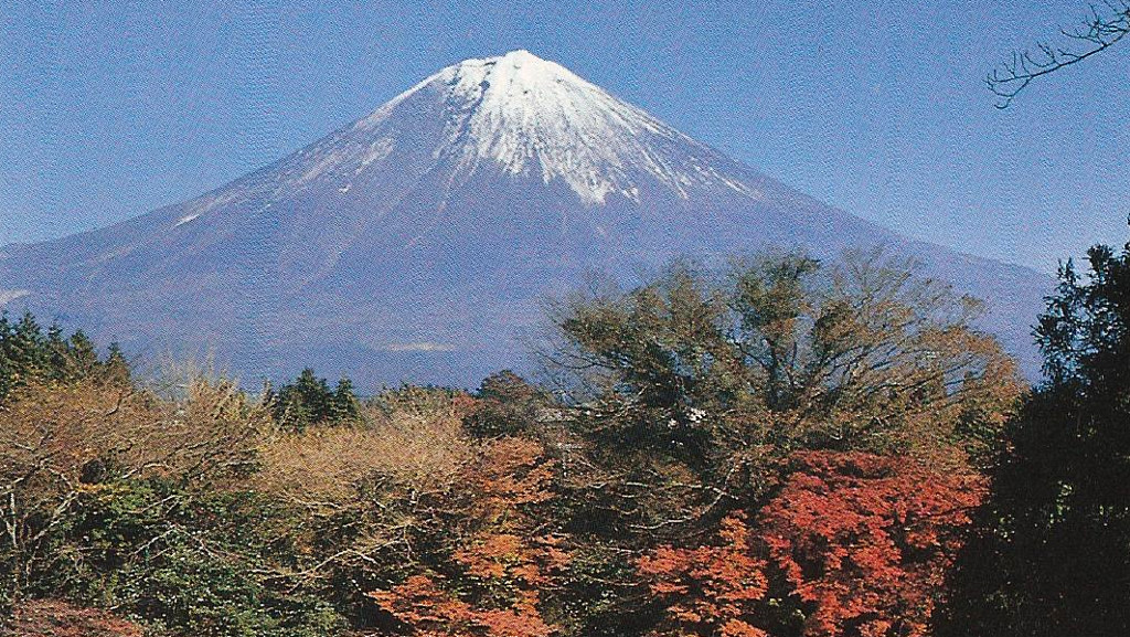 Turnbull Tours: Japan 1984 Turnbull Tours: Japan 1984