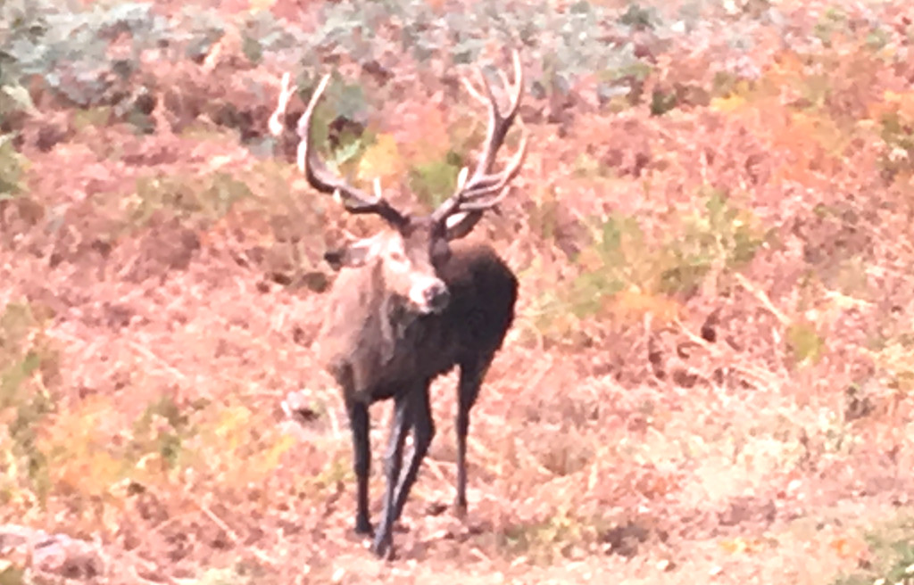 Saturday Ride: 27th October 2017