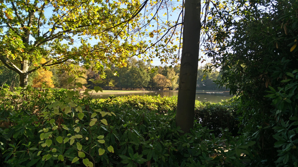 Sunday Ride: 21st October 2018