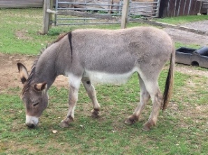 Sunday Safari: 28th July Sunday Safari: 28th July