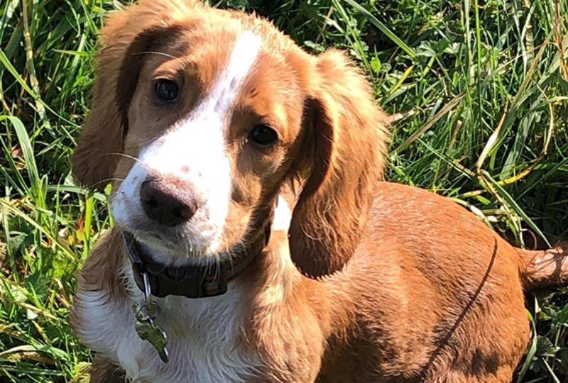 Saturday Ride: 16th November 2019