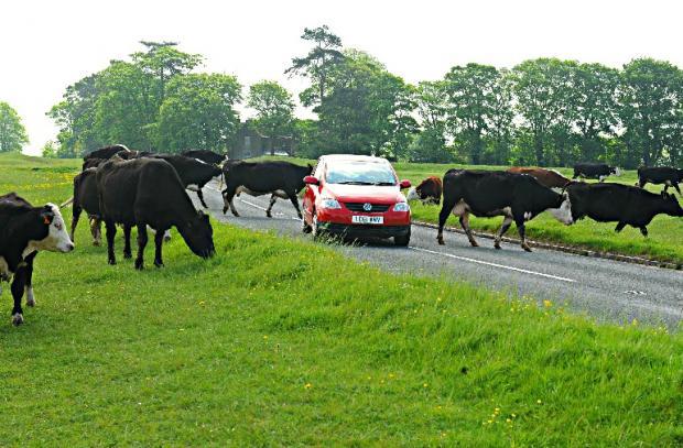 Stormy Stroud – Day 2, Part3, Royal Realms