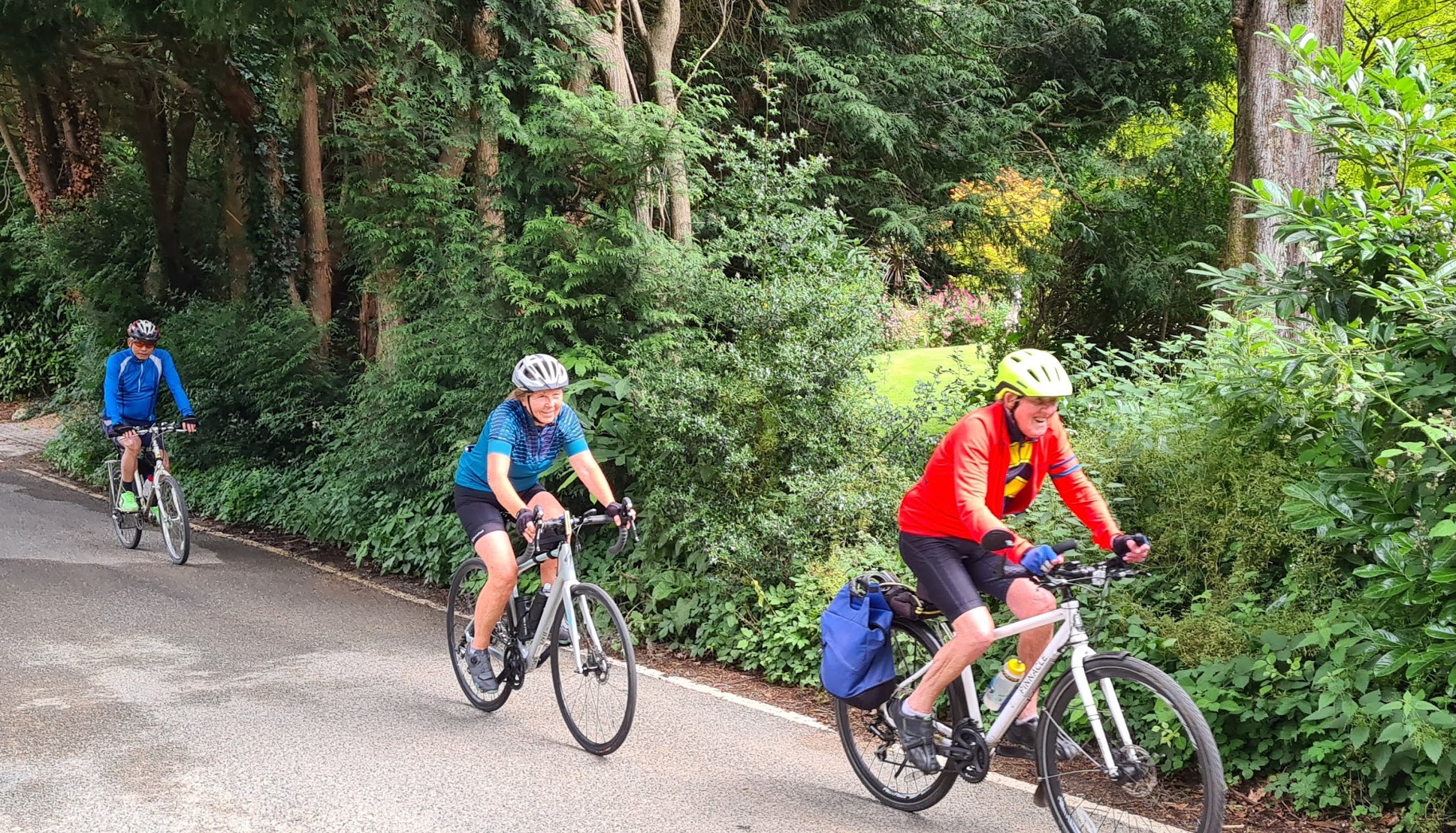 At Last a Sunny Sunday! At Last a Sunny Sunday!