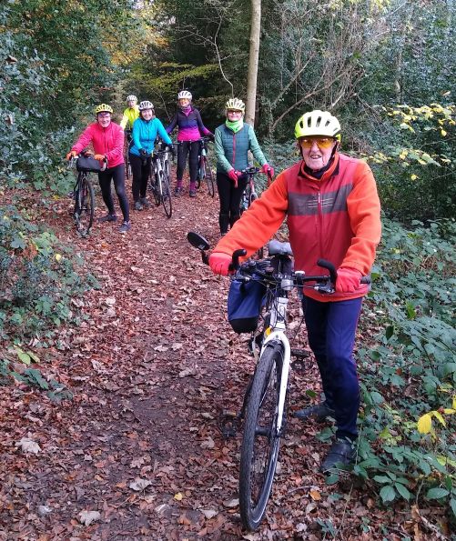 November’s Ups and Downs!