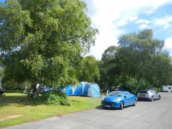 Mark H Offers a Great Camping Trip!