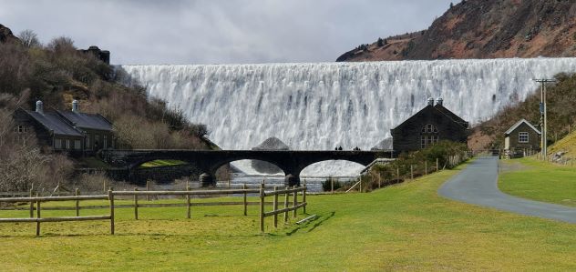 Tim Continues His Quest.