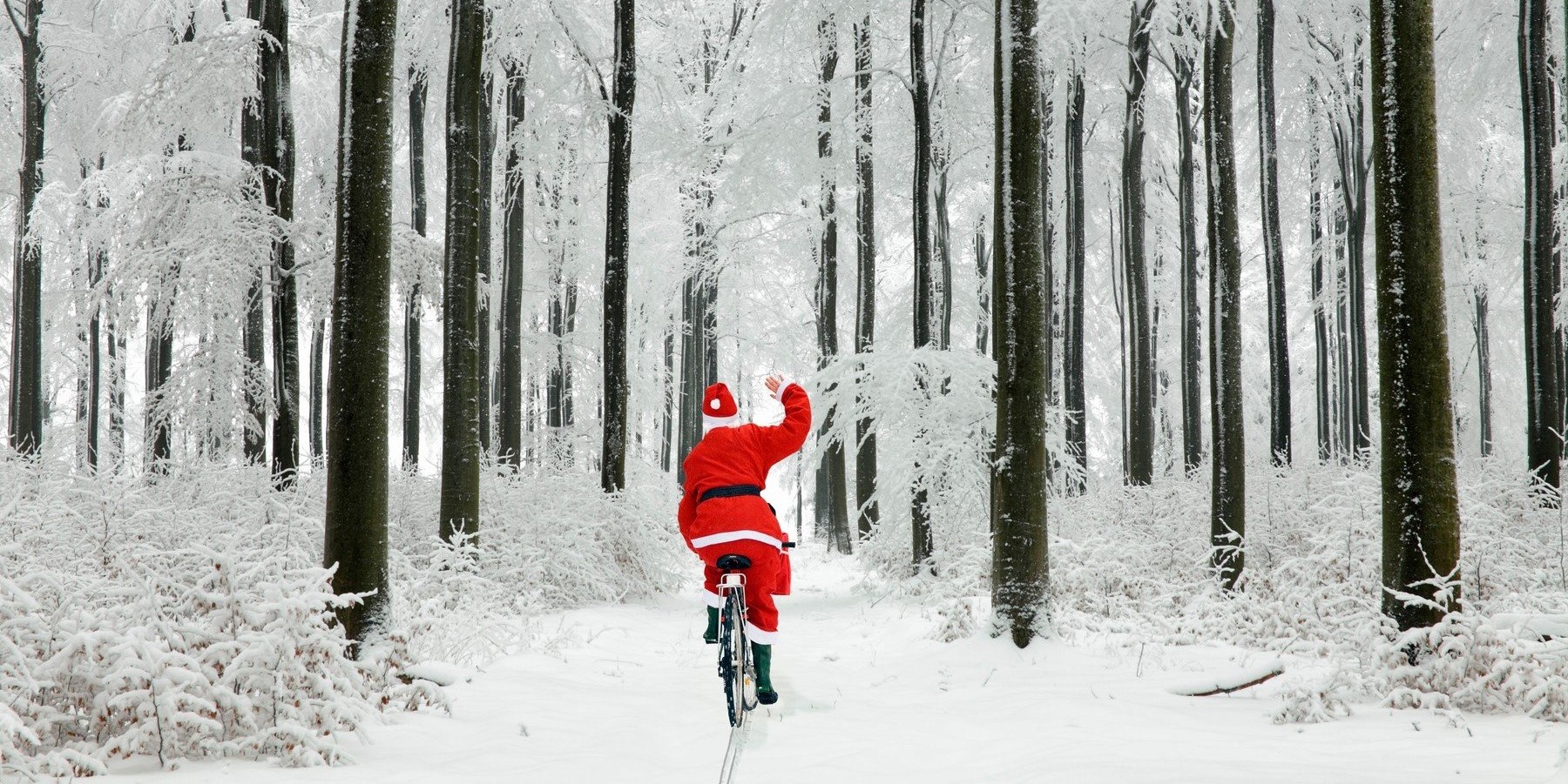 The Anerley Gazette – December 2023 The Anerley Gazette – December 2023