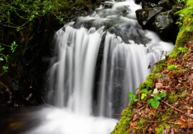 Snowdonia and it’s Waterfalls